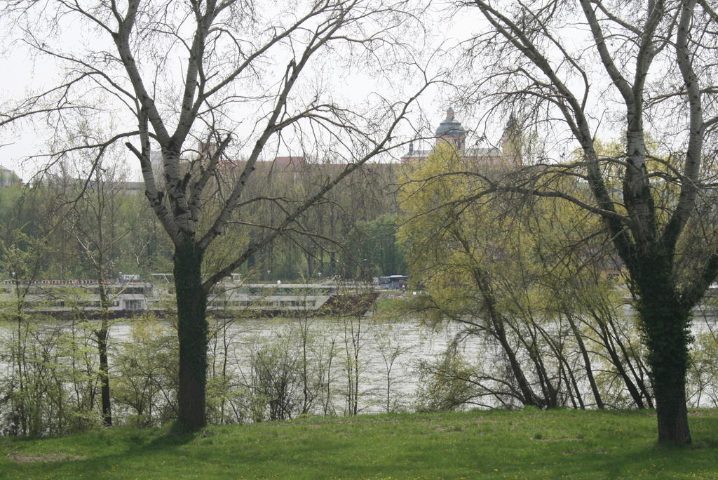 Gaestehaus Egger Emmersdorf an der Donau Ngoại thất bức ảnh